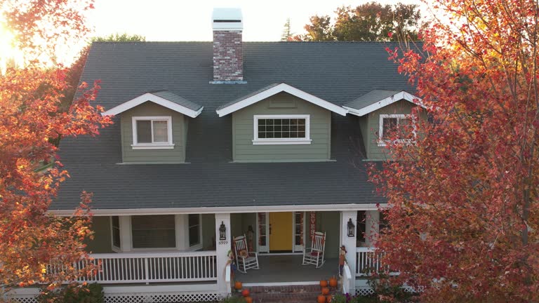Best Sheet Metal Roofing  in Hopkins, SC