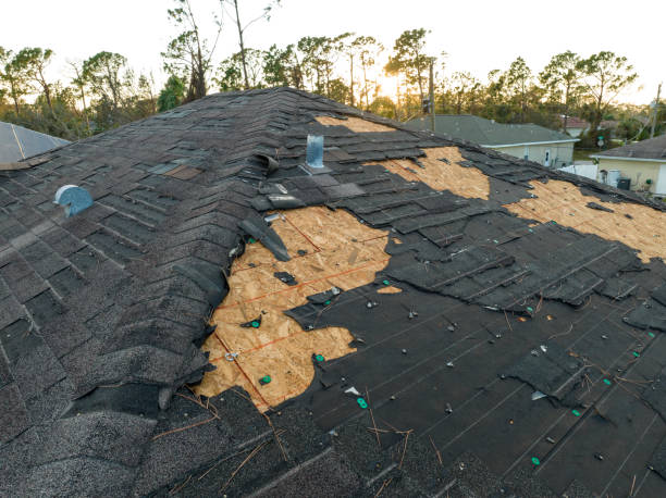 Best Asphalt Shingles Roofing  in Hopkins, SC